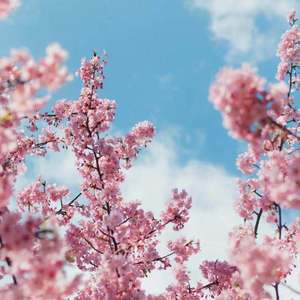 国产欧美精品一区二区三区
